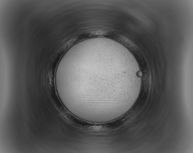 X0000086080406200704132108