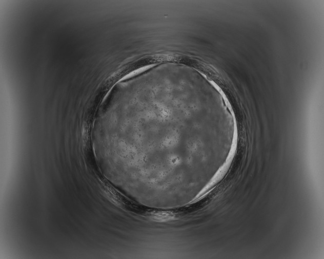 X0000086080409200704132108