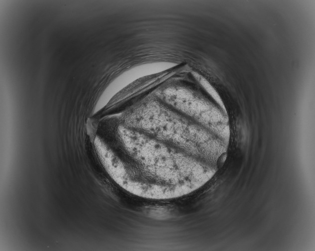 X0000086080412200704132108