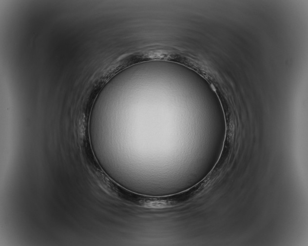 X0000086080413200704132108