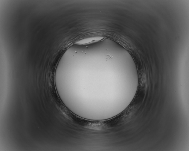 X0000086080414200704132108