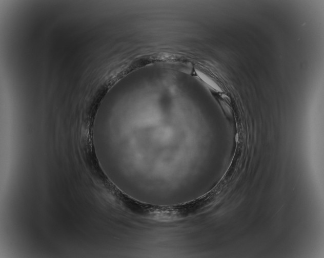 X0000086080415200704132108