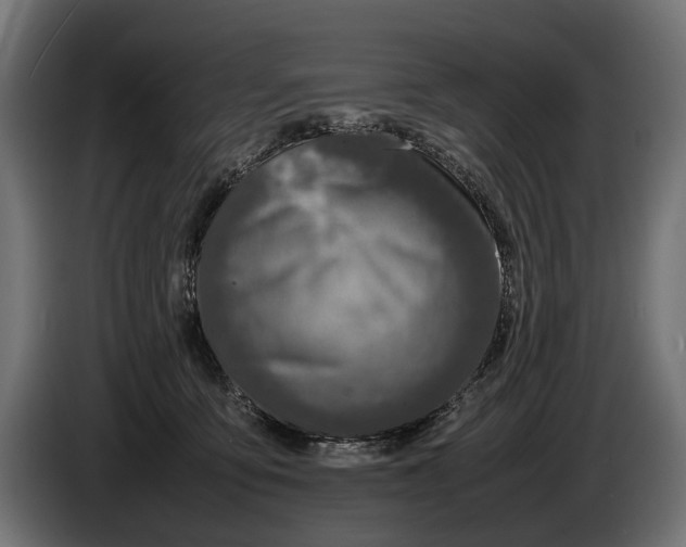 X0000086080419200704132108