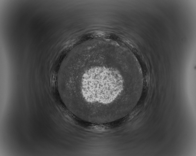 X0000086080423200704132107