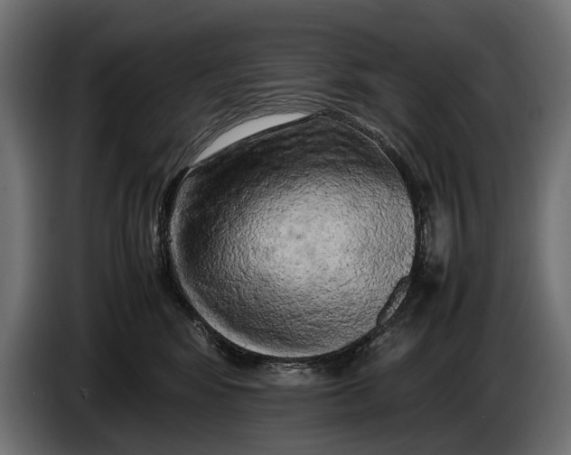 X0000086080424200704132107