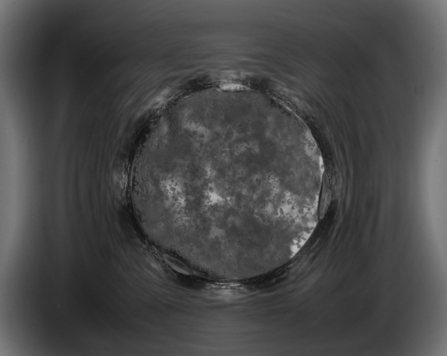 X0000086080427200704132107