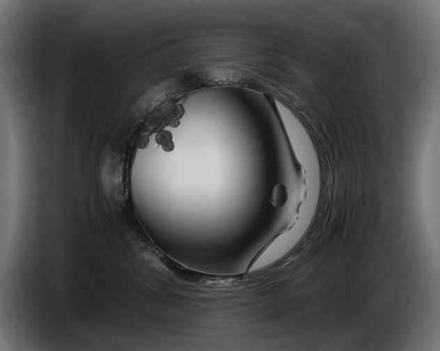 X0000086080428200704132107