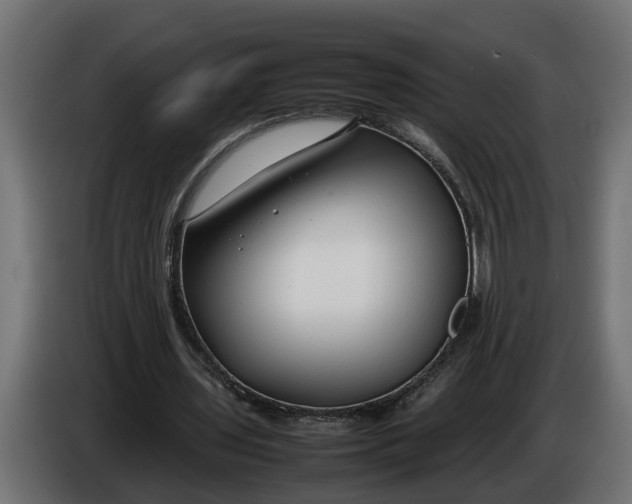 X0000086080435200704132107