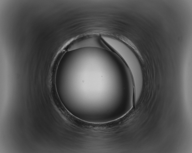 X0000086080436200704132107