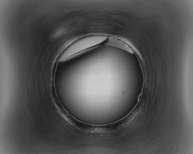 X0000086080437200704132107