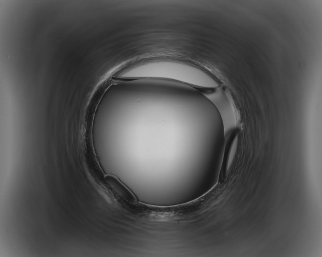 X0000086080440200704132107