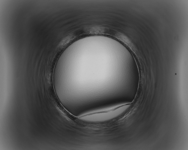 X0000086080441200704132107