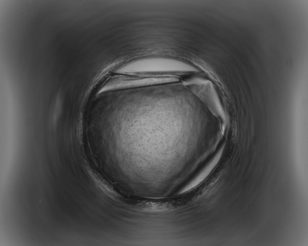 X0000086080442200704132107