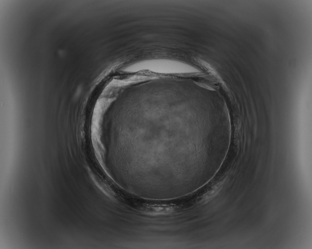 X0000086080443200704132107