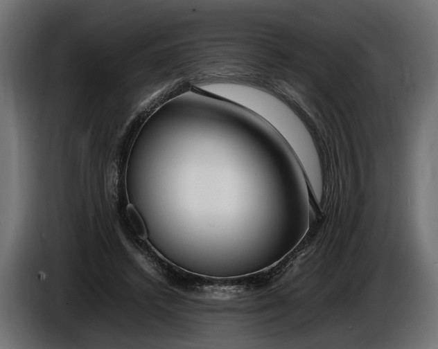 X0000086080448200704132107