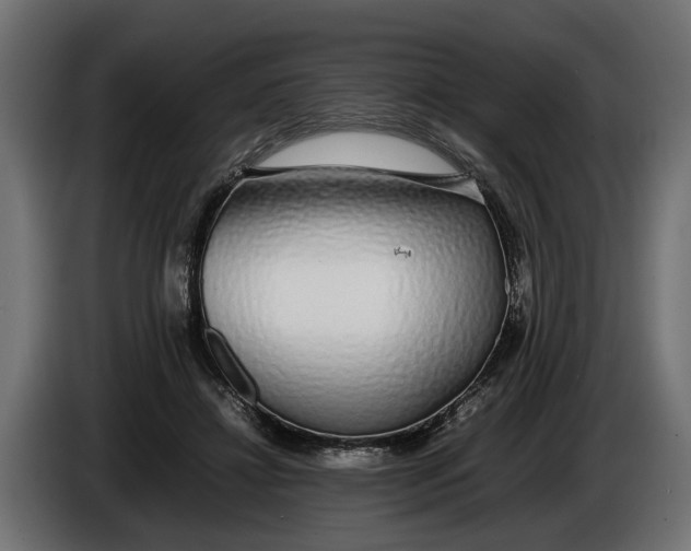 X0000086080452200704132107