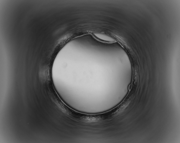 X0000086080453200704132107