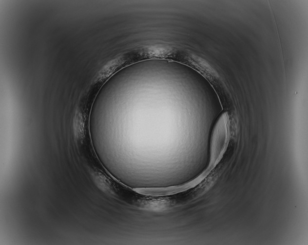 X0000086080456200704132107