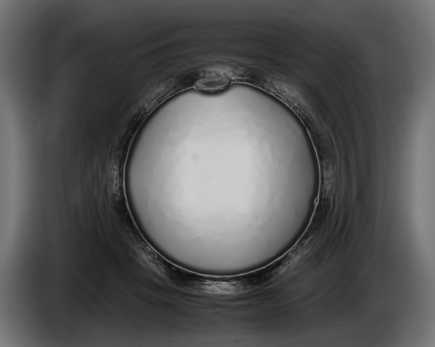 X0000086080457200704132107