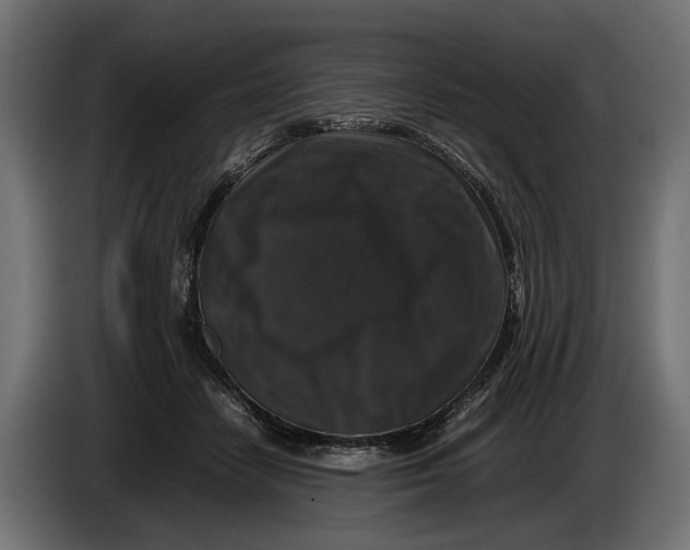 X0000086080458200704132107