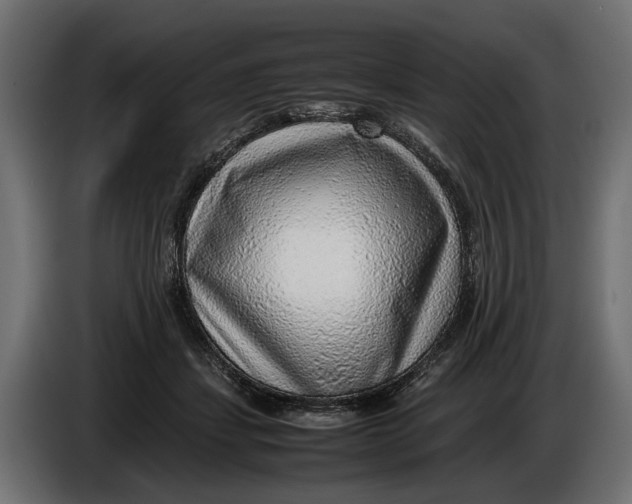 X0000086080459200704132107