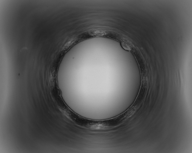 X0000086080460200704132107