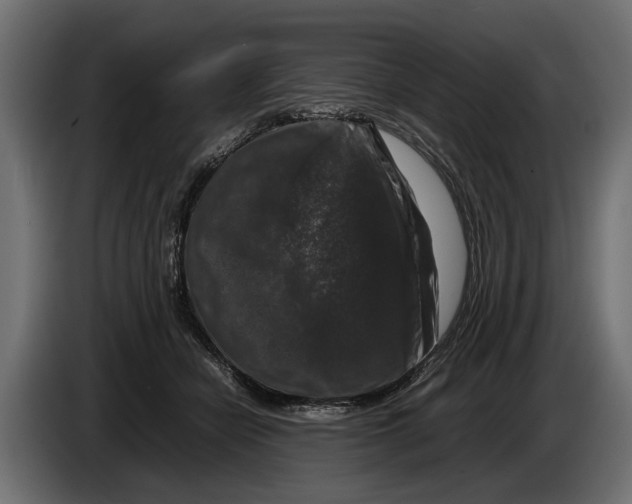 X0000086080462200704132107