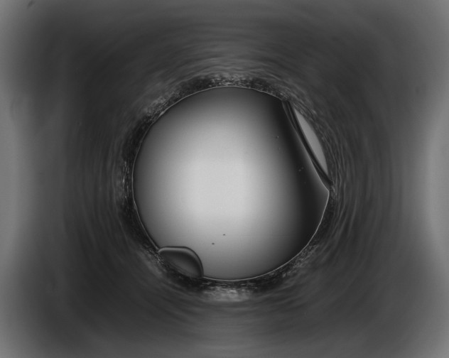 X0000086080464200704132107