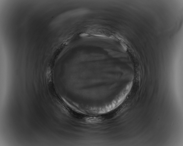 X0000086080465200704132107