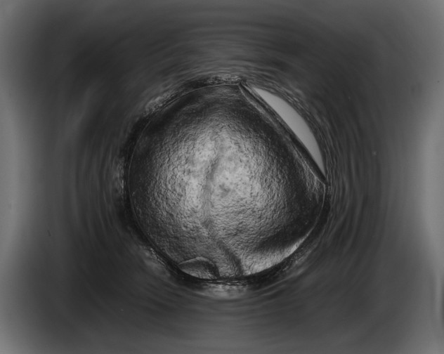 X0000086080466200704132107