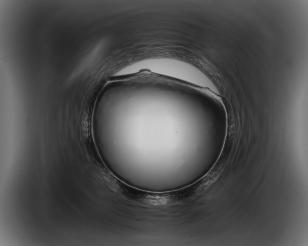 X0000086080469200704132107