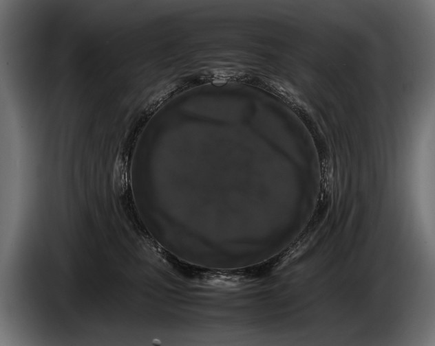 X0000086080471200704132107