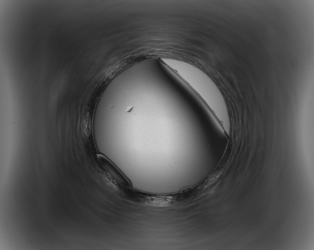 X0000086080474200704132107