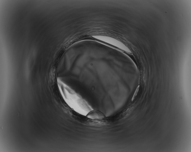 X0000086080475200704132107