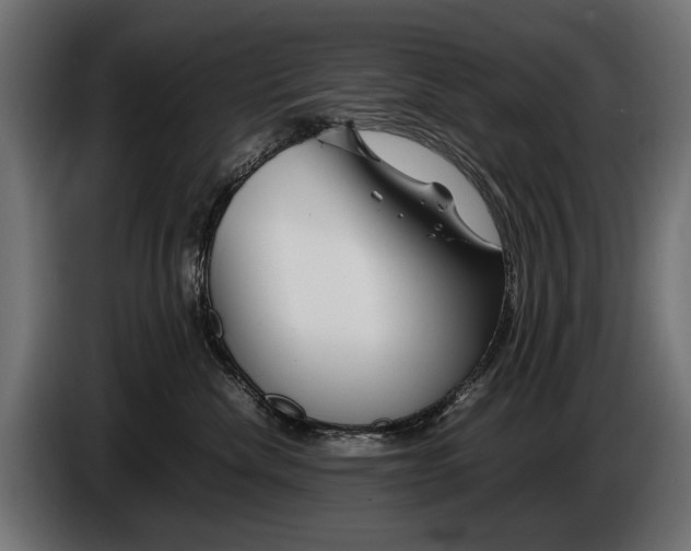 X0000086080476200704132107