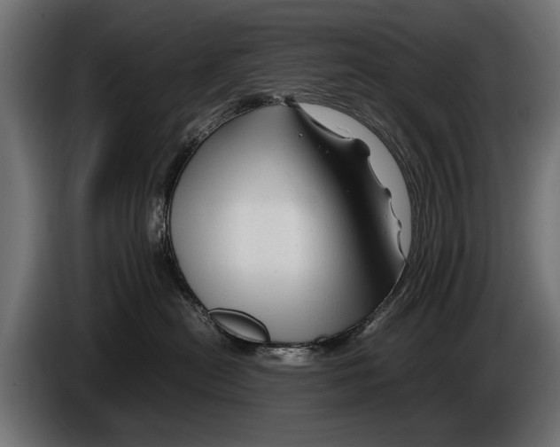 X0000086080478200704132107