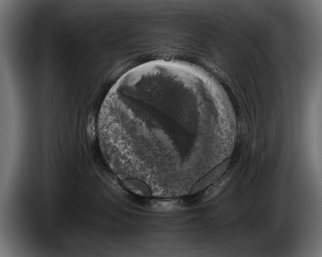 X0000086080479200704132107