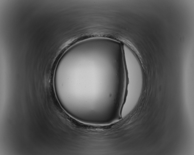 X0000086080483200704132107