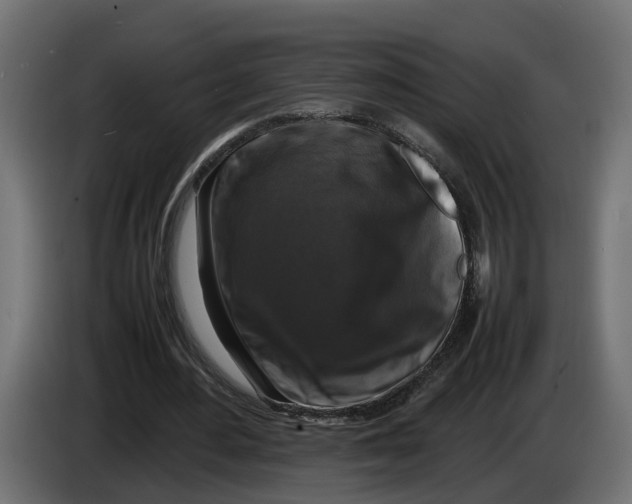 X0000086080484200704132107