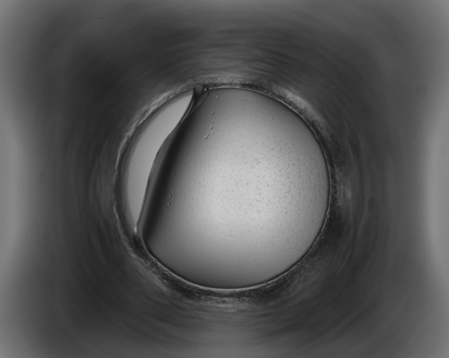 X0000086080486200704132107