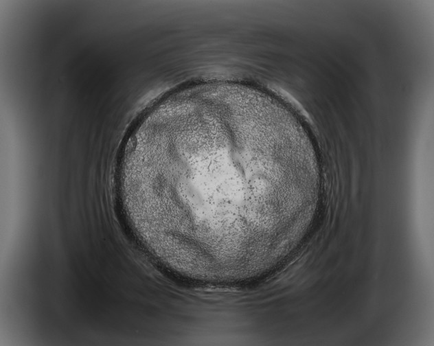 X0000086080487200704132107