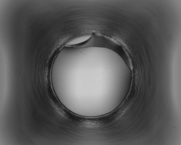 X0000086080490200704132107