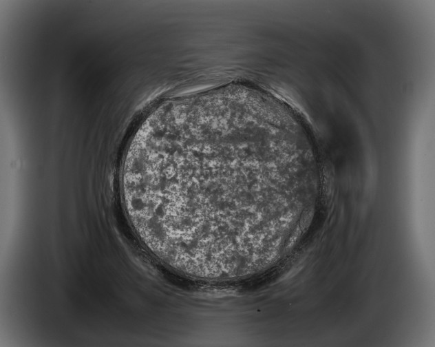 X0000086080491200704132107