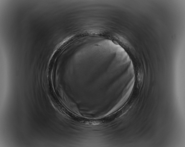 X0000086080492200704132107