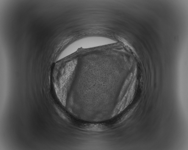 X0000086080493200704132106