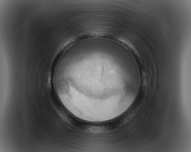 X0000086080494200704132106