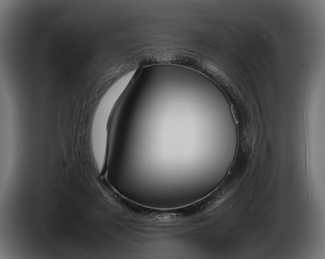 X0000086080497200704132106