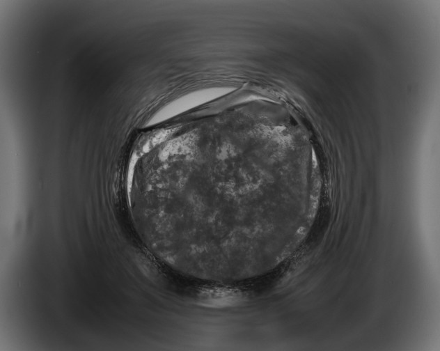 X0000086080503200704132106