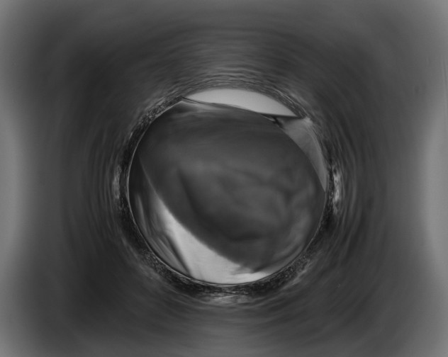 X0000086080504200704132106