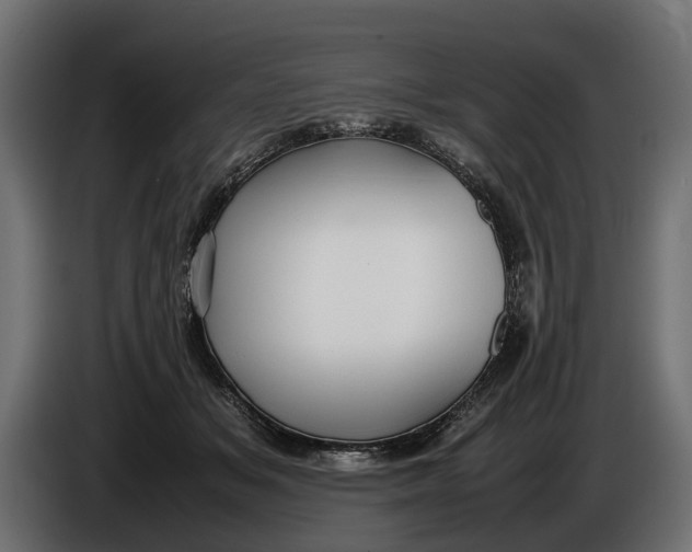 X0000086080509200704132106